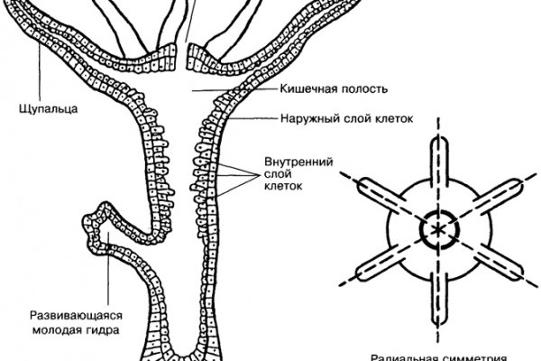 2krn at официальный