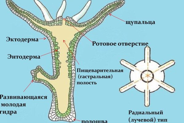 Кракен официальный сайт онион