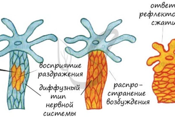 Даркнет сайт скачать